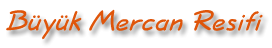 Müyük Mercan Resifi