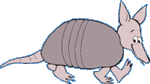 armadillo.gif