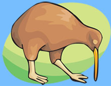 kiwi.jpg