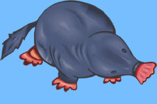 kostebek.jpg